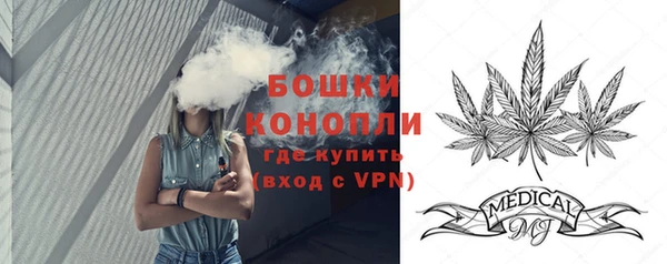 PSILOCYBIN Армянск