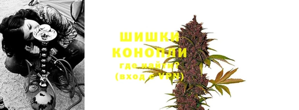шишки Аркадак