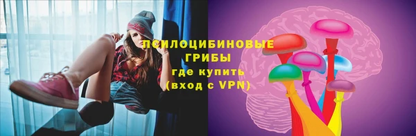 PSILOCYBIN Армянск