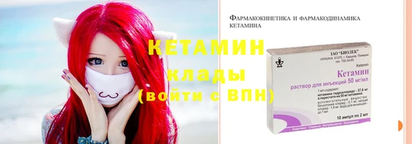 шишки Аркадак