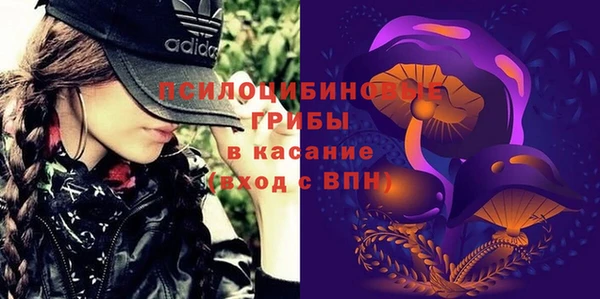 шишки Аркадак