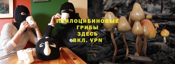 шишки Аркадак