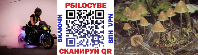 mega вход  Людиново  Псилоцибиновые грибы ЛСД 